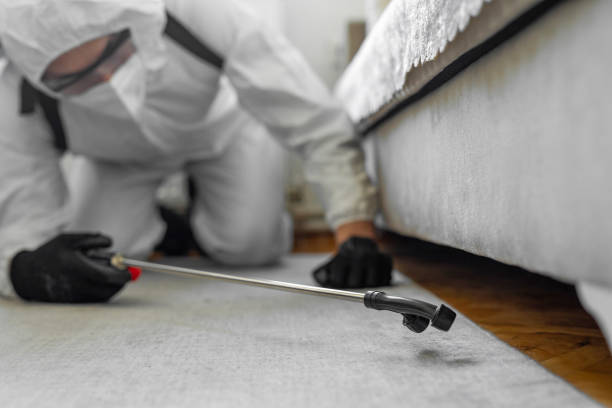 Professional Termite Control technician working in Langley, WA