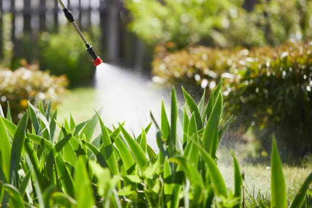 24/7 Emergency Termite Control experts in Langley, WA