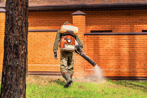 Top rated local Termite Control specialists in Langley, WA